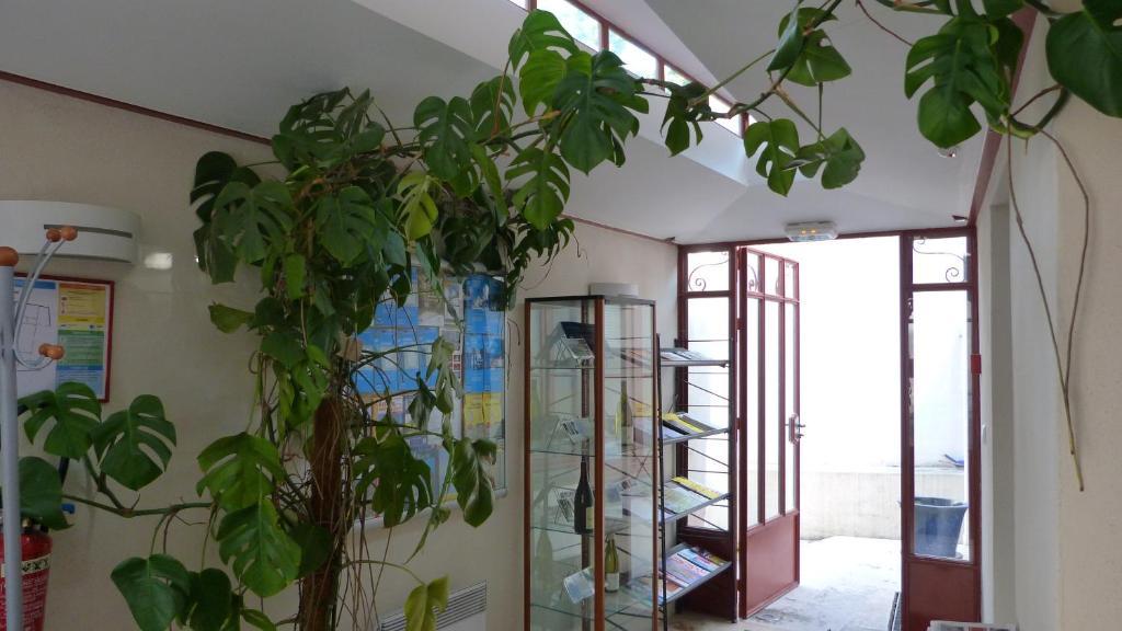 La Maison Des Randonneurs Hostel Auxerre Bagian luar foto